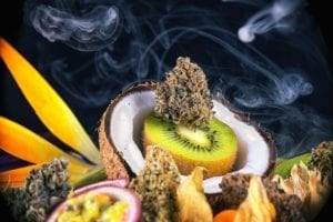 Man sieht unterschiedliche Obst, welche ebenfalls Terpene enthalten. Unter anderem Kiwi, Kokosnuss und Cannabis Blüten sind auch zu sehen.