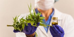 Personalised Medicine - Cannabis - HAPA medical